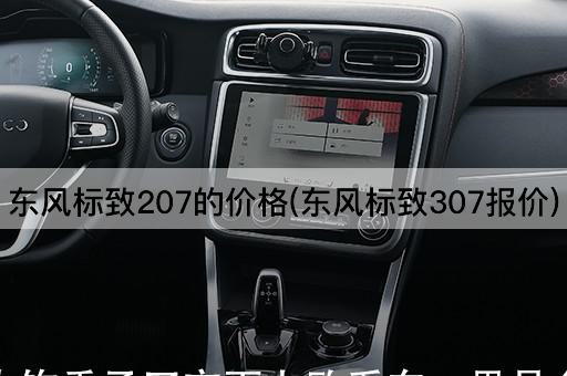 东风标致207的价格(东风标致307报价)