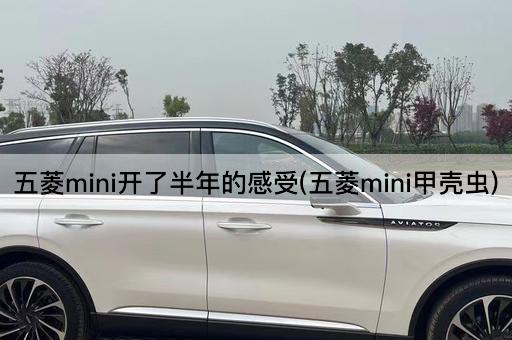 五菱mini开了半年的感受(五菱mini甲壳虫)