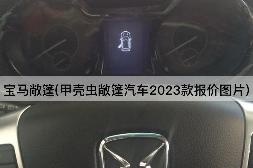 宝马敞篷(甲壳虫敞篷汽车2023款报价图片)