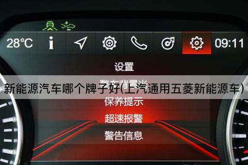 新能源汽车哪个牌子好(上汽通用五菱新能源车)
