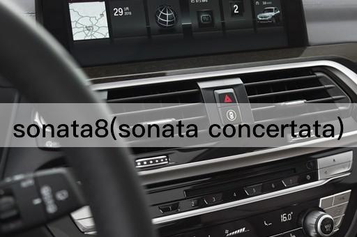 sonata8(sonata concertata)