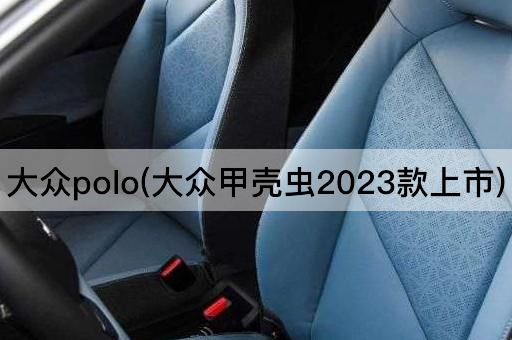 大众polo(大众甲壳虫2023款上市)