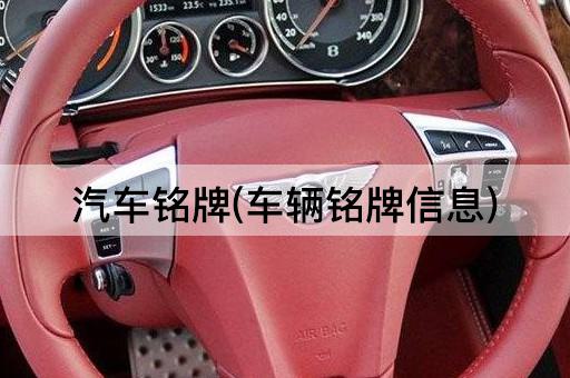 汽车铭牌(车辆铭牌信息)