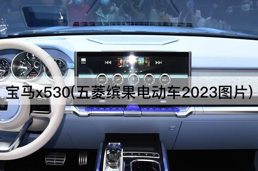 宝马x530(五菱缤果电动车2023图片)