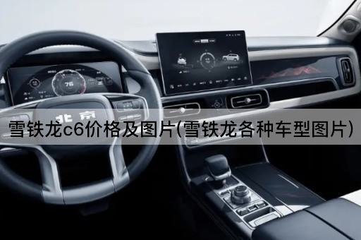 雪铁龙c6价格及图片(雪铁龙各种车型图片)
