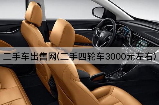 二手车出售网(二手四轮车3000元左右)