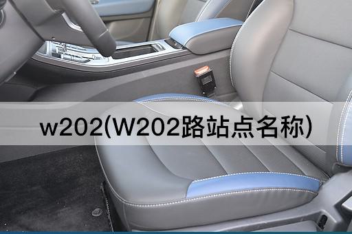 w202(W202路站点名称)