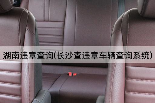 湖南违章查询(长沙查违章车辆查询系统)