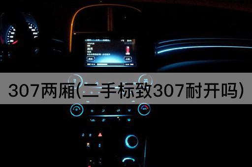 307两厢(二手标致307耐开吗)