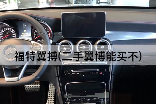 福特翼搏(二手翼博能买不)