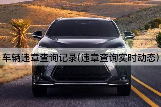车辆违章查询记录(违章查询实时动态)