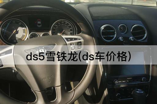 ds5雪铁龙(ds车价格)