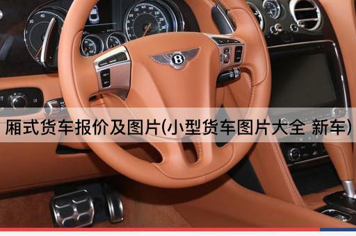 厢式货车报价及图片(小型货车图片大全 新车)