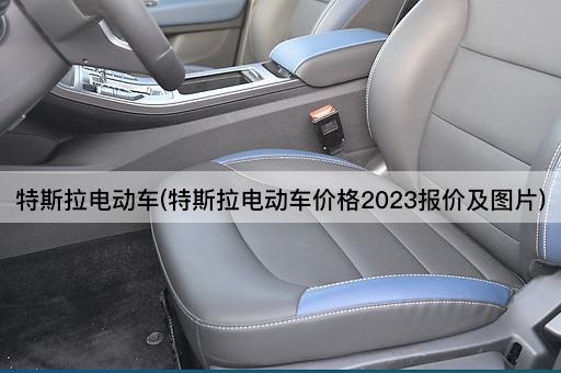 特斯拉电动车(特斯拉电动车价格2023报价及图片)