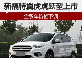福特价格(福特多少钱一辆)