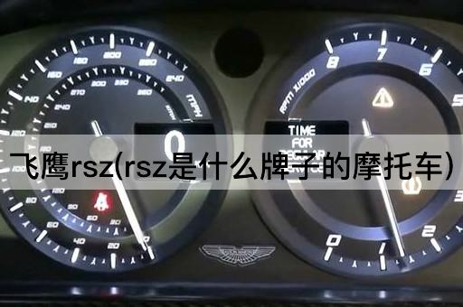 飞鹰rsz(rsz是什么牌子的摩托车)