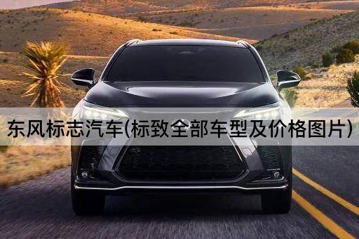 东风标志汽车(标致全部车型及价格图片)