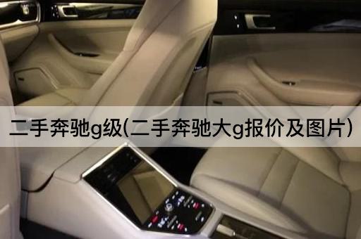 二手奔驰g级(二手奔驰大g报价及图片)