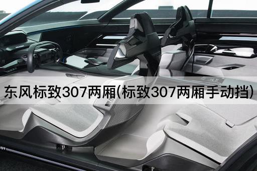 东风标致307两厢(标致307两厢手动挡)