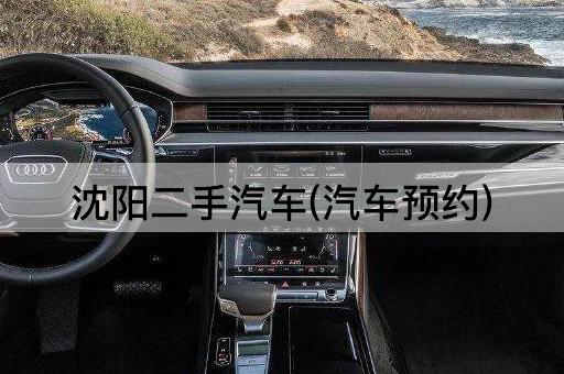 沈阳二手汽车(汽车预约)