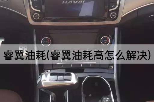 睿翼油耗(睿翼油耗高怎么解决)