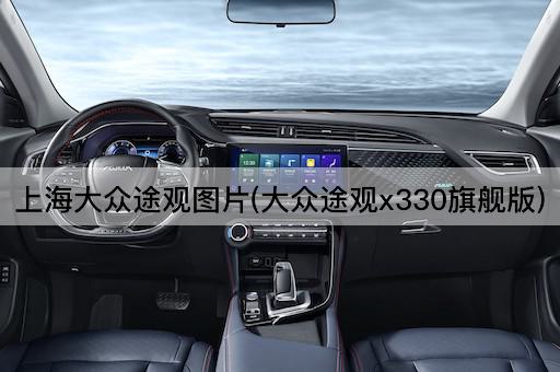 上海大众途观图片(大众途观x330旗舰版)