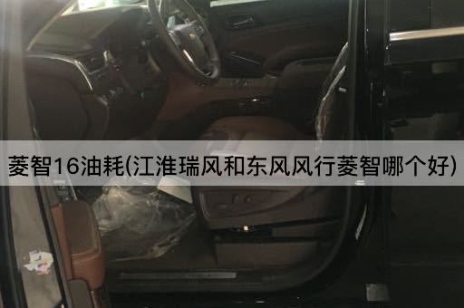 菱智16油耗(江淮瑞风和东风风行菱智哪个好)