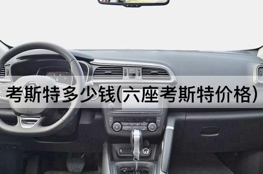 考斯特多少钱(六座考斯特价格)