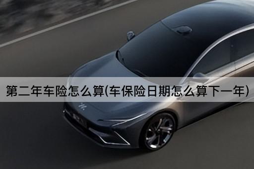 第二年车险怎么算(车保险日期怎么算下一年)