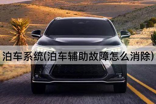 泊车系统(泊车辅助故障怎么消除)