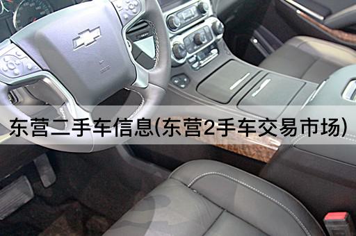东营二手车信息(东营2手车交易市场)