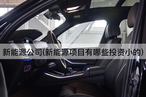 新能源公司(新能源项目有哪些投资小的)