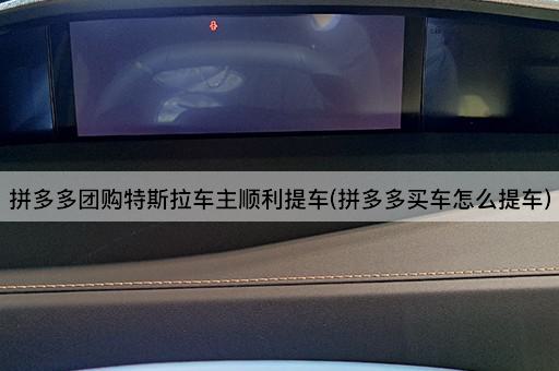 拼多多团购特斯拉车主顺利提车(拼多多买车怎么提车)