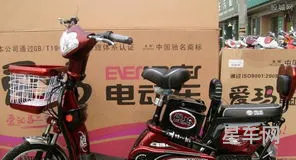 十大名牌电动车 前十名(电动车最耐用排名第一)