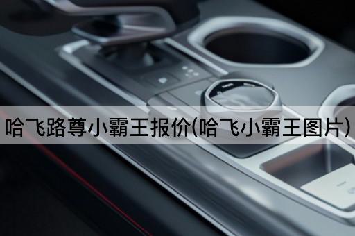 哈飞路尊小霸王报价(哈飞小霸王图片)