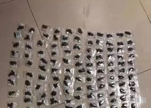 有lsd和没有lsd的区别(前驱改装lsd的弊端)