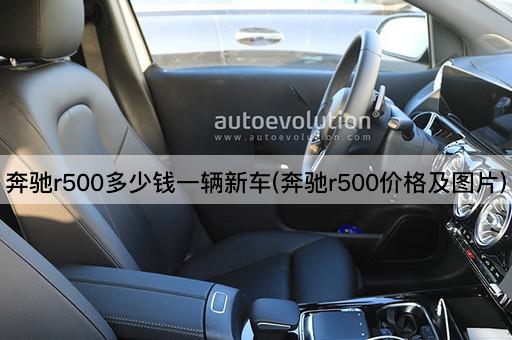 奔驰r500多少钱一辆新车(奔驰r500价格及图片)