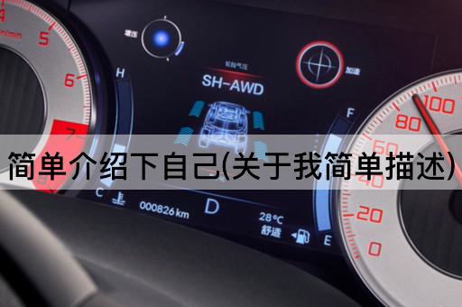 简单介绍下自己(关于我简单描述)