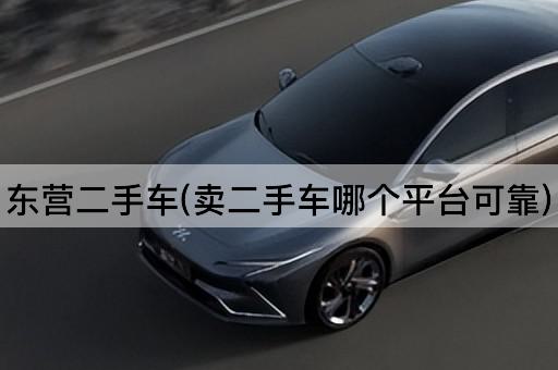 东营二手车(卖二手车哪个平台可靠)