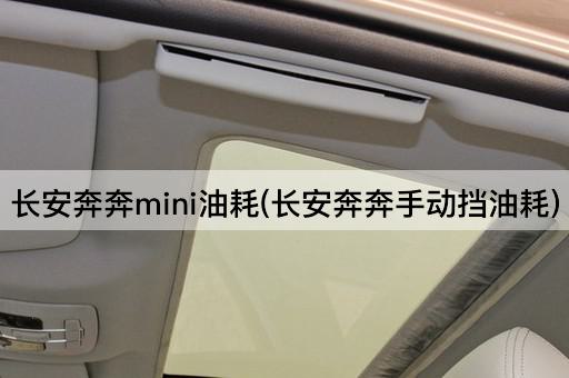 长安奔奔mini油耗(长安奔奔手动挡油耗)