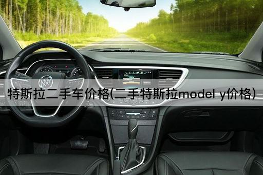 特斯拉二手车价格(二手特斯拉model y价格)