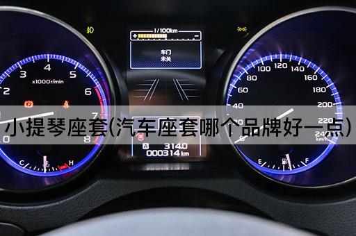 小提琴座套(汽车座套哪个品牌好一点)