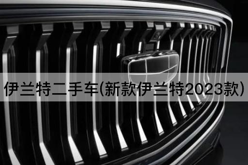 伊兰特二手车(新款伊兰特2023款)