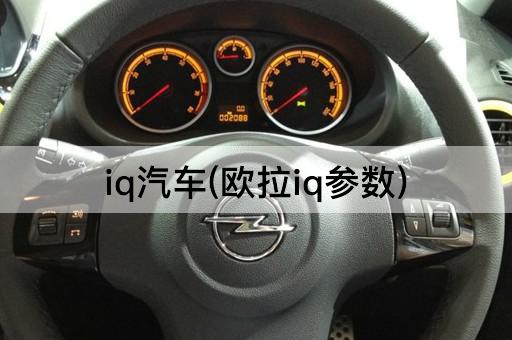 iq汽车(欧拉iq参数)