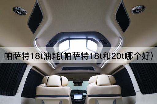 帕萨特18t油耗(帕萨特18t和20t哪个好)