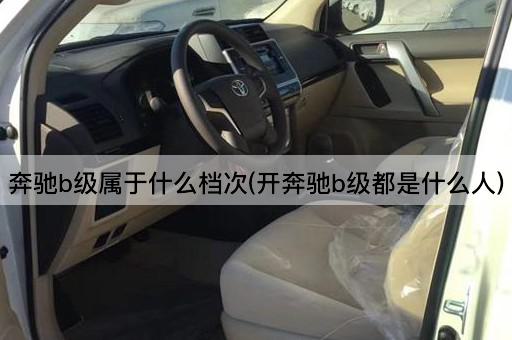 奔驰b级属于什么档次(开奔驰b级都是什么人)