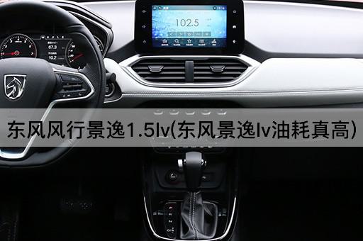 东风风行景逸1.5lv(东风景逸lv油耗真高)