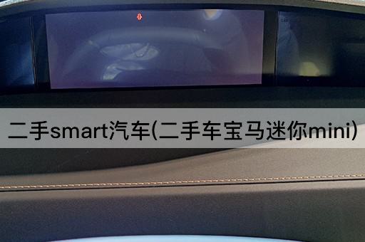 二手smart汽车(二手车宝马迷你mini)