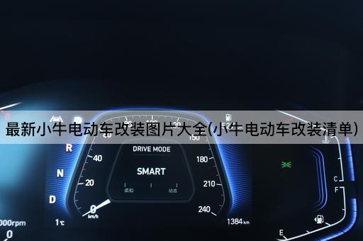 最新小牛电动车改装图片大全(小牛电动车改装清单)