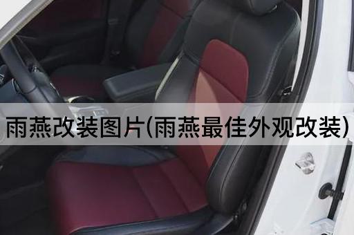 雨燕改装图片(雨燕最佳外观改装)